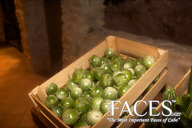 ©www.cabofaces.net Photography